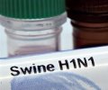 Китай разработал лекарство специально от свиного гриппа Китай разработал лекарство специально от свиного гриппа