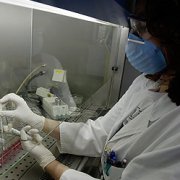 Ученые нашли простое лекарство для лечения рака Ученые нашли простое лекарство для лечения рака