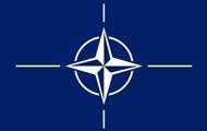 Несколько сайтов НАТО подверглись мощной хакерской атаке