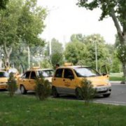 В Узбекистане запускают новые лицензионные маршрутные такси